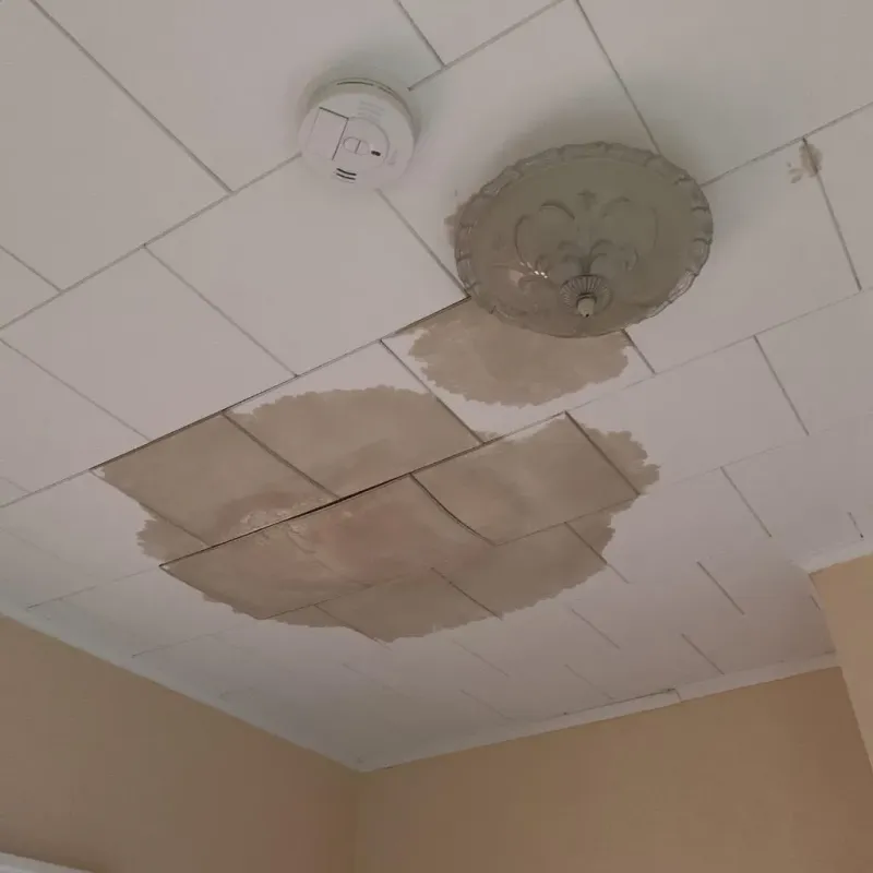 Ceiling Water Damage Repair in Columbus County, NC