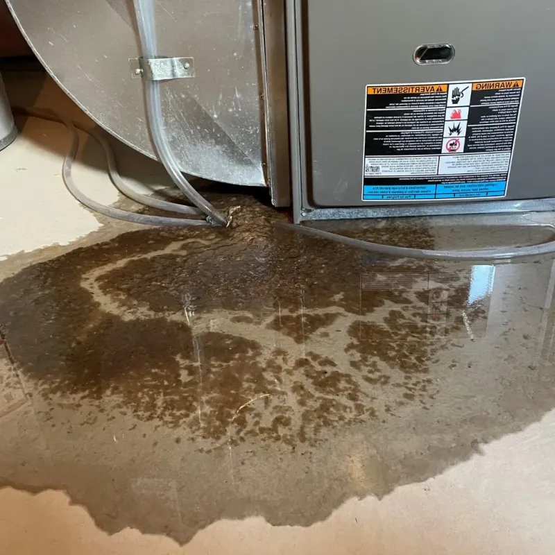 Pipe Burst and Leak Restoration in Columbus County, NC